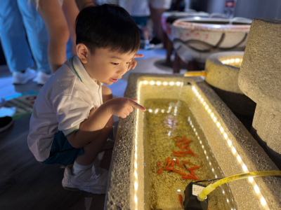 魚遊-金魚探索館參觀活動